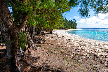 Coral beach on the east coast of Rurutu, Austral islands, French Polynesia, South Pacific, Pacific