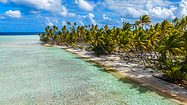 Aerial of a white sand beach in the Amaru atoll, Tuamotu Islands, French Polynesia, South Pacific, Pacific