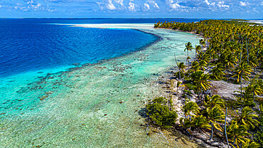 Aerial of a white sand beach in the Amaru atoll, Tuamotu Islands, French Polynesia, South Pacific, Pacific