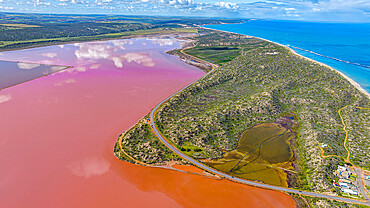 Aerial of the pink coloured Hutt Lagoon, Western Australia, Australia, Pacific