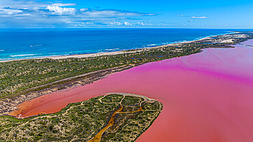 Aerial of the pink coloured Hutt Lagoon, Western Australia, Australia, Pacific