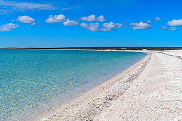 Shell Beach, Shark Bay, UNESCO World Heritage Site, Western Australia, Australia, Pacific