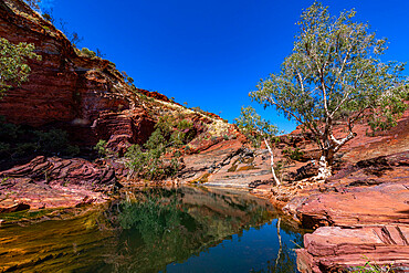 Pool in Hammersley Gorge, Karijini National Park, Western Australia, Australia, Pacific