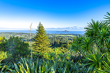 View over Norfolk Island, Australia, Pacific