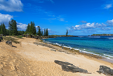 Sandy beach, on Slaughter Bay, UNESCO World Heritage Site, Norfolk Island, Australia, Pacific