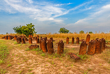 Unesco site Senegambian stone circles, Wassu, Gambia, Africa