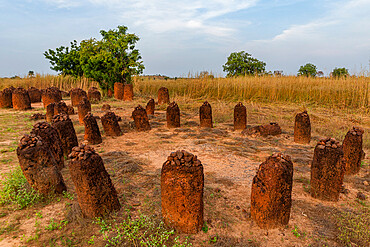 Unesco site Senegambian stone circles, Wassu, Gambia, Africa