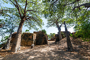 Unesco site Kunta Kinteh or James island, Western slave trade, Gambia, Africa