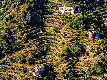 Green terraces, Fayfa mountain, Jazan province, Saudi Arabia