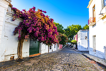 Colonial architecture, Colonia del Sacramento, UNESCO World Heritage Site, Uruguay, South America