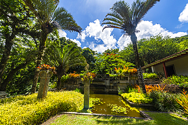 Sitio Roberto Burle Marx site, a landscape garden, UNESCO World Heritage Site, Rio de Janeiro, Brazil, South America