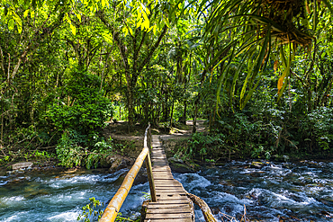 Footbridge over the Batari River, Atlantic Forest South-East Reserves, UNESCO World Heritage Site, Alto Ribeira Touristic State Park, Sao Paulo State, Brazil, South America