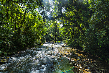 Batari River, Atlantic Forest South-East Reserves, UNESCO World Heritage Site, Alto Ribeira Touristic State Park, Sao Paulo State, Brazil, South America