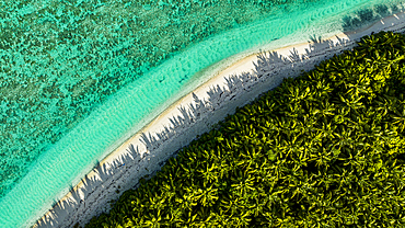 Aerial of a white sand beach, Cocos (Keeling) Islands, Australian Indian Ocean Territory, Australia, Indian Ocean