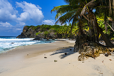 Dolly Beach, Christmas Island, Australia, Indian Ocean