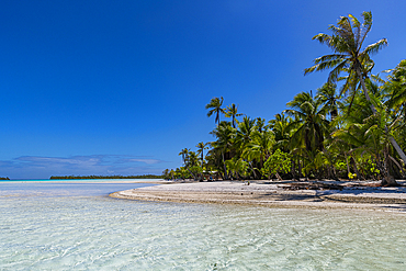 Palm fringed motu in the Blue Lagoon, Rangiroa atoll, Tuamotus, French Polynesia, South Pacific, Pacific