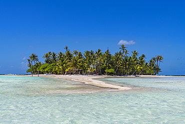 Palm fringed motu in the Blue Lagoon, Rangiroa atoll, Tuamotus, French Polynesia, South Pacific, Pacific