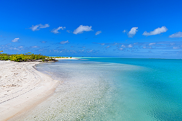 White sand beach at the green lagoon, Fakarava, Tuamotu archipelago, French Polynesia, South Pacific, Pacific