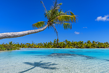 Blue lagoon, Fakarava, Tuamotu archipelago, French Polynesia, South Pacific, Pacific