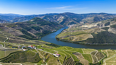 Aerial of the Wine Region of the Douro River, UNESCO World Heritage Site, Portugal, Europe