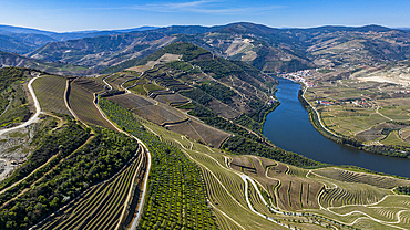 Aerial of the Wine Region of the Douro River, UNESCO World Heritage Site, Portugal, Europe