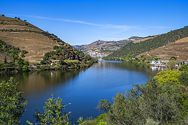 View over the Wine Region of the Douro River, UNESCO World Heritage Site, Portugal, Europe