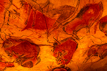 Altamira Cave, UNESCO World Heritage Site, Cantabria, Spain, Europe