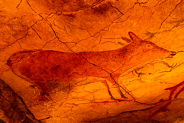 Altamira Cave, UNESCO World Heritage Site, Cantabria, Spain, Europe