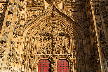 Salamanca Cathedral, Salamanca, UNESCO World Heritage Site, Castile and Leon, Spain, Europe