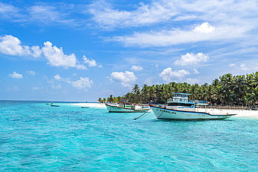 Little boats before a palm fringed white sand beach, Agatti Island, Lakshadweep archipelago, Union territory of India, Indian Ocean, Asia