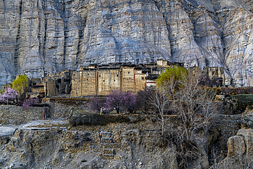 Old palace in the remote Tetang village, Kingdom of Mustang, Himalayas, Nepal, Asia