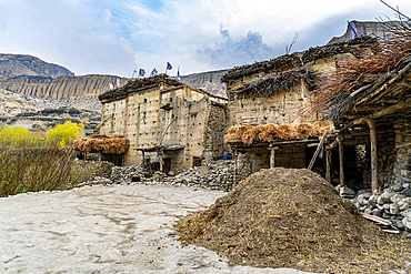 Remote Tetang village, Kingdom of Mustang, Himalayas, Nepal, Asia