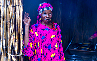 Portrait of a local woman in bright pink clothes, Lake Chad, Chad, Africa