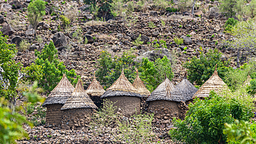 Traditional huts on the border of Nigeria, Northern Cameroon, Africa