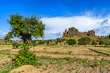 Fields and lunar landscape, Rhumsiki, Mandara mountains, Far North province, Cameroon, Africa