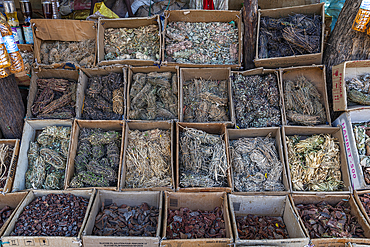 Local roots and leaves, traditional medicine market, Garoua, Northern Cameroon, Africa