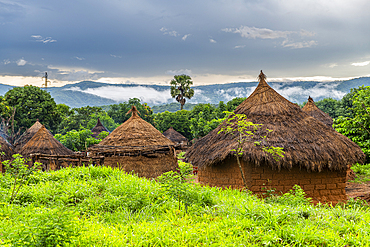 Traditional mud huts, Northern Cameroon, Africa