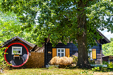 Wooden house, UNESCO Biosphere Reserve, Spree Forest, Brandenburg, Germany, Europe