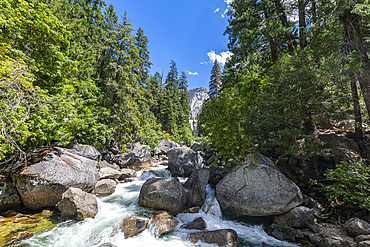 Merced River, Yosemite National Park, UNESCO World Heritage Site, California, United States of America, North America