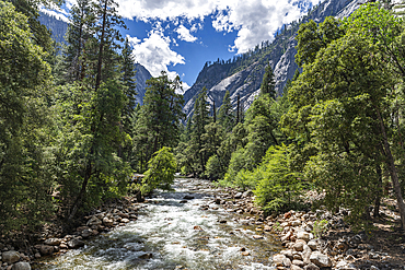 Merced River, Yosemite National Park, UNESCO World Heritage Site, California, United States of America, North America