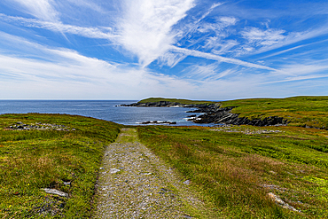 Track leading to Mistaken Point, UNESCO World Heritage Site, Avalon Peninsula, Newfoundland, Canada, North America