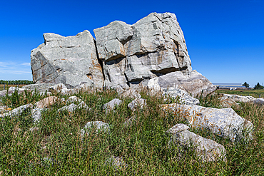 Big Rock, the largest glacial erratic, Okotoks, Alberta, Canada, North America