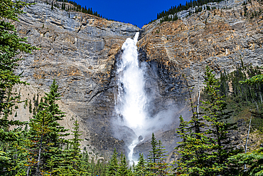 Takakkaw Falls, the second tallest waterfall in Canada, Yoho National Park, UNESCO World Heritage Site, British Columbia, Canada, North America