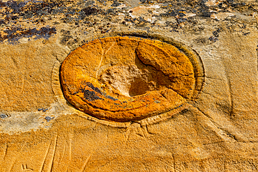 Indian rock carving, Writing-on-Stone Provincial Park, UNESCO World Heritage Site, Alberta, Canada, North America