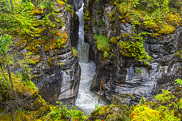 Maligne Canyon, Jasper National Park, UNESCO World Heritage Site, Alberta, Canadian Rockies, Canada, North America