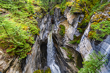 Maligne Canyon, Jasper National Park, UNESCO World Heritage Site, Alberta, Canadian Rockies, Canada, North America