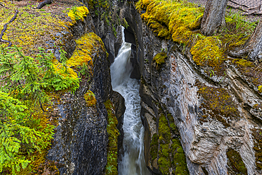 Maligne Canyon, Jasper National Park, UNESCO World Heritage Site, Alberta, Canadian Rockies, Canada, North America