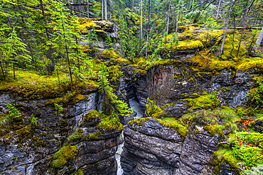 Maligne Canyon, Jasper National Park, UNESCO World Heritage Site, Alberta, Canadian Rockies, Canada, North America