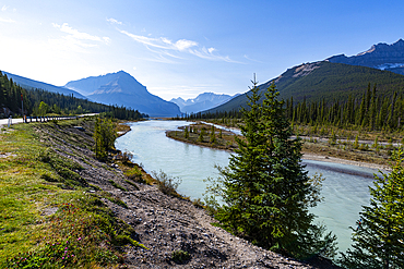 Athabasca River, Glacier Parkway, Jasper National Park, UNESCO World Heritage Site, Alberta, Canadian Rockies, Canada, North America