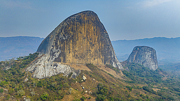 Conda, Kumbira Forest Reserve, Kwanza Sul, Angola, Africa